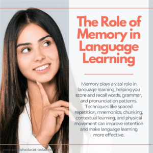 An ESL student learning how memory plays a massive role in language learning.